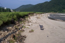 그래도 고추는 마른다. - 르포, 스쿠프, 제보 갤러리