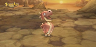 오늘의 펫 소개 - 코코토리스 편 + PC 스톤과 비교 및 공략 - 스톤에이지 모바일 게시판 - 온감