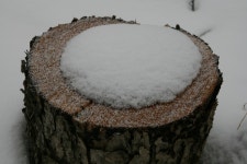 마지막 便紙 | 나도 작가