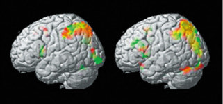 바둑은 독서에 버금가는 인문학적 체험이다