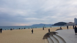 세미기업 후루티 리얼 레몬 에이드 1kg[6개] - 에누리 가격비교