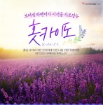 보라빛 라벤더가 시선을 사로잡는 북해도 | NOL 인터파크투어 이벤트혜택존 보라빛 라벤더가 시선을 사로잡는 북해도