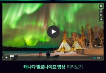 한 겨울밤 오로라 Aurora | NOL 인터파크투어 이벤트혜택존 한 겨울밤 오로라 Aurora