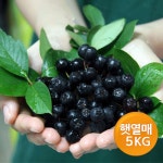 오픈메디칼 - 생활건강의료기기 종합몰 오픈메디칼