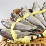 생활건강 의료기기 쇼핑몰 오픈메디칼 오픈메디칼