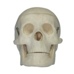 오픈메디칼 - 생활건강의료기기 종합몰 오픈메디칼