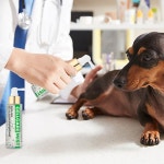 생활건강 의료기기 쇼핑몰 오픈메디칼 오픈메디칼