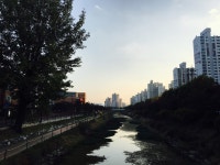 포켓몬 GO 인벤 : 인천 계양구 계산천 잉어킹공장이예요~~ - 포켓몬 GO 팁과 노하우 게시판