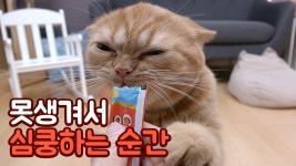 배틀그라운드 인벤 전체 게시판 | 배그 인벤