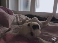 오버워치 인벤 : 누나 일어났어? - 오버워치 인벤 자유게시판