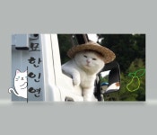 로스트아크 인벤 : ☆★묘한인연★☆길드원 모집중☆ 집사환영☆ - 로스트아크 인벤 길드 찾기/모집 게시판