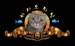 로스트아크 인벤 : ☆★묘한인연★☆길드원 모집중☆ - 로스트아크 인벤 이그하람 서버 게시판