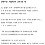 야생의 땅:듀랑고 인벤 : S펫 안광색상 기준 - 야생의땅 듀랑고 인벤 게시판