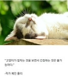 로스트아크 인벤 : 다들 - 로스트아크 인벤 자유 게시판