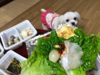 비오는날 회먹어야지 광어회 ㅇㅈ?! | 오버워치 인벤