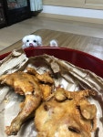 통닭 한마리에 4천원 사먹겠냐? | 오버워치 인벤