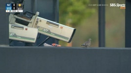 원샷 욕심있는 비둘기 | 웹진 인벤 - 인벤 원샷 욕심있는 비둘기 | 웹진 인벤