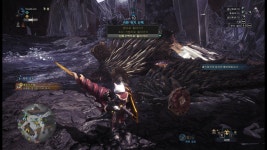 다시는 몬린이를 괴롭히지 마라. | 몬헌 인벤