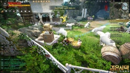 플로린3 그라나 흑정령흔적 | 검은사막 인벤