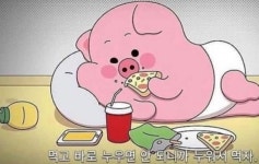 많이먹으면.,.. | 포나 인벤