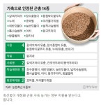 오늘부로 가축이 되는 곤충s. - 오픈이슈갤러리 - 인벤 오늘부로 가축이 되는 곤충s. - 오픈이슈갤러리
