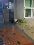 와우WOW아이스크림할인점 | 월드 오브 워크래프트 인벤 : 태풍오는와중에 아이스크림 먹고싶어서 나감 - 와우 인벤 클래식 게시판