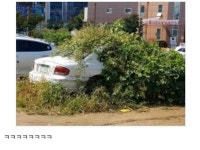 소나타 풀옵션 | 오버워치 인벤