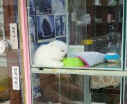 로스트아크 인벤 : 충무로 외근 나왔는데 - 로스트아크 인벤 자유 게시판