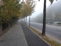 이게 안개야 미세먼지야 | 메이플 인벤