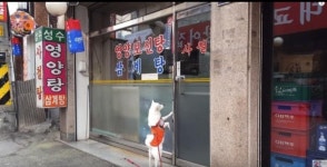 메이플스토리 인벤 : ? 너 거기 왜 가? - 메이플스토리 인벤 자유게시판