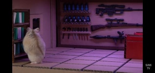 오버워치 인벤 : 와 금손이 대체 얼마나 많은거야 - 오버워치 인벤 자유게시판