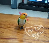 단독] 천안 반발에 밀렸다..우한 전세기 아산·진천에 격리수용 - 오픈이슈갤러리 - 인벤 단독] 천안 반발에 밀렸다..우한 전세기 아산·진천에... 