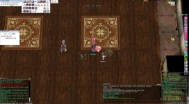 호랭이 이후로 나오는 새로운 상대 | 라그 인벤