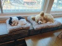 기여워 | 메이플 인벤