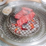 로스트아크 인벤 : 2주째 이그악세 노드랍 ㅠ - 로스트아크 인벤 자유 게시판