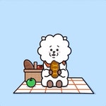 RJ | Wiki | BT21 Amino