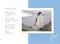 초등 3~4학년 중학년 도서관 패키지 세트(전4권)/네소원은뭐야.미루찾기.하트로계산해주세요.안녕남극 - YES24