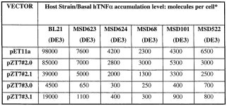 특허 WO1999005297A1 - T7 promoter-based expression system -  Google 특허 검색 특허 WO1999005297A1 - T7 promoter-based... 