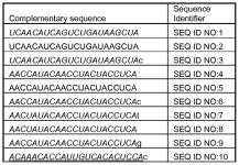 특허 WO2011130371A1 - Compositions and methods for inhibition of nucleic acids function -  Google 특허 검색 특허... 