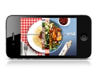 Visa Go - Ladies & Gentlemen the work of Christopher MacNeil