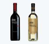 Vinhos Félix - Rita Dias