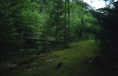 Trip. - Taylor Scott 