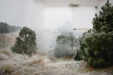 photography  Untitled - Wai Ming Ng