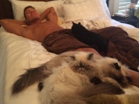 WWE Superstar Tyson Kidd Has Cats And They Are The Most Adorable Creatures Ever