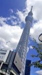 Flipboard의 #skytree