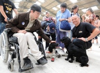 Tributes to Nelson the Fire Dog | West Country - ITV News Tributes to Nelson the Fire Dog