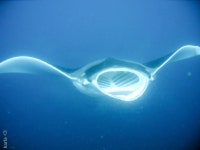 Flipboard의 Karen Fuentes