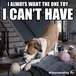 Flipboard의 #downwarddog