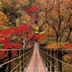 Flipboard의 ❤SHA❤ #TEAMSWEET