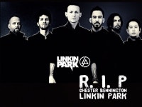 Flipboard의 THE HIT (supporting)